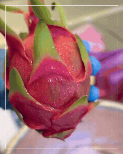 Hawaiian Health Co. Dragonfruit Electrolytes – alternate view 3