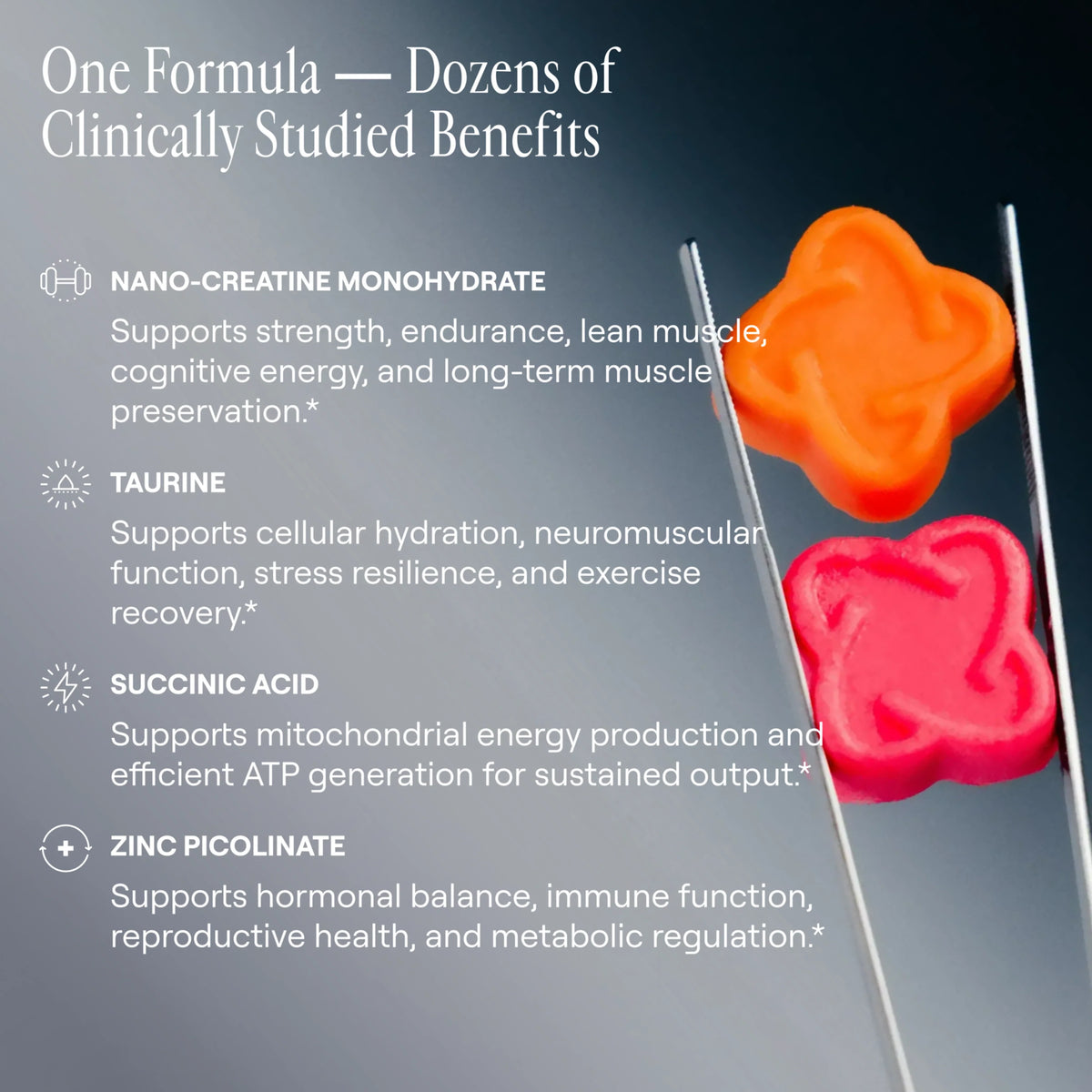 Arq8™ Creatine Monohydrate Gummies – alternate view 9